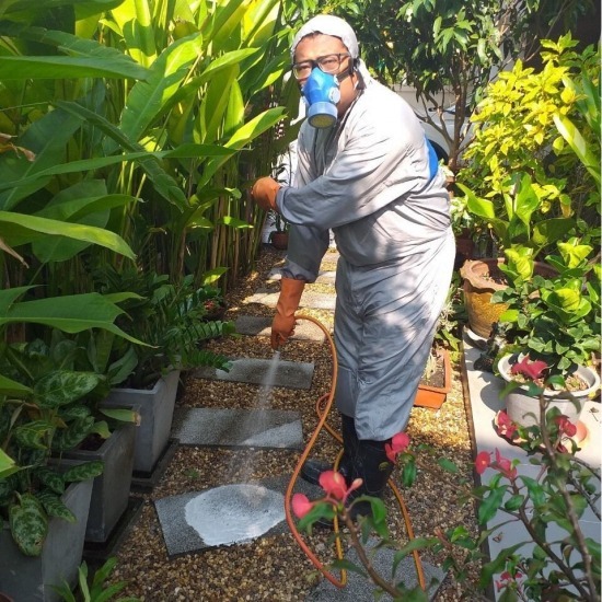 บริษัทกำจัดปลวก หาดใหญ่ - บริษัทกําจัดปลวก หาดใหญ่ - มินิ บั๊ค