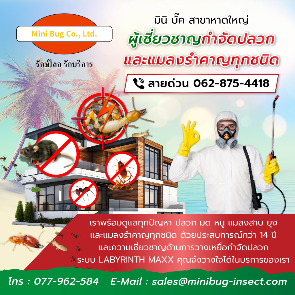มินิบั๊ค บริการกำจัดปลวกมดหนูแมลงสาบยุง หาดใหญ่